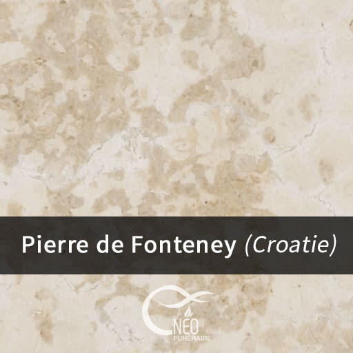 Pierre de Fonteney