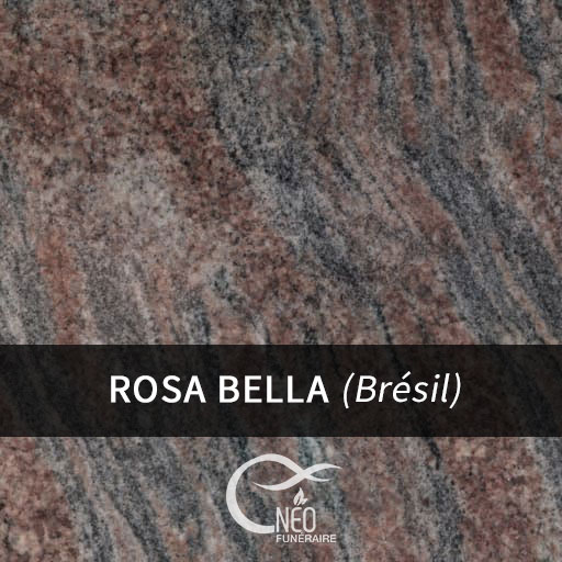 Rosa Bella